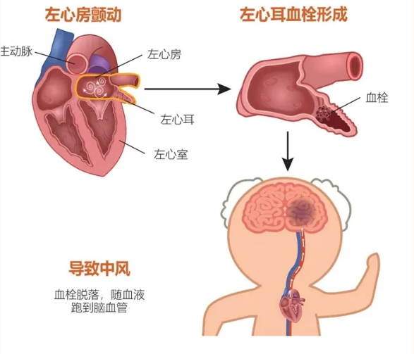 QQ20260610-083845.png QQ20260610-083845.png